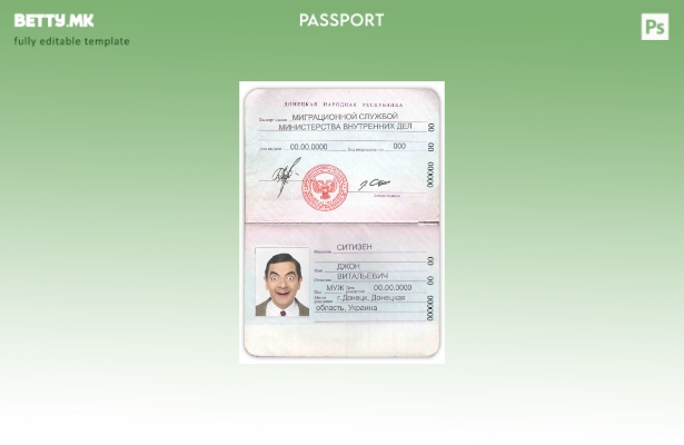 Модерен стил Шаблон за пасош на Народна Република Донецк